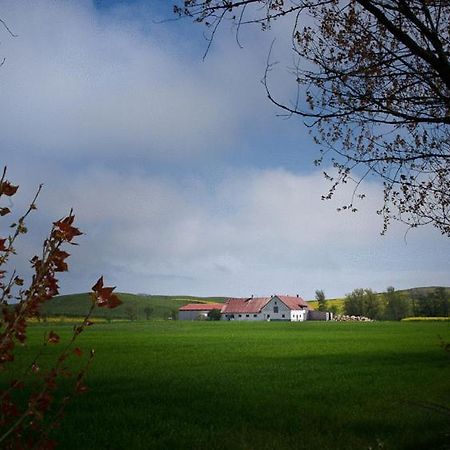 Bed&Breakfast Vinkille Löderup Eksteriør bilde