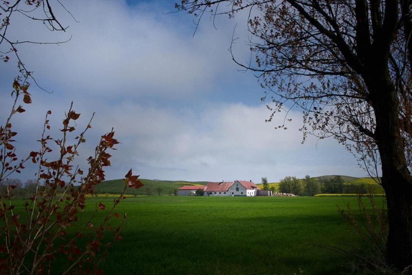 Bed&Breakfast Vinkille Löderup Eksteriør bilde